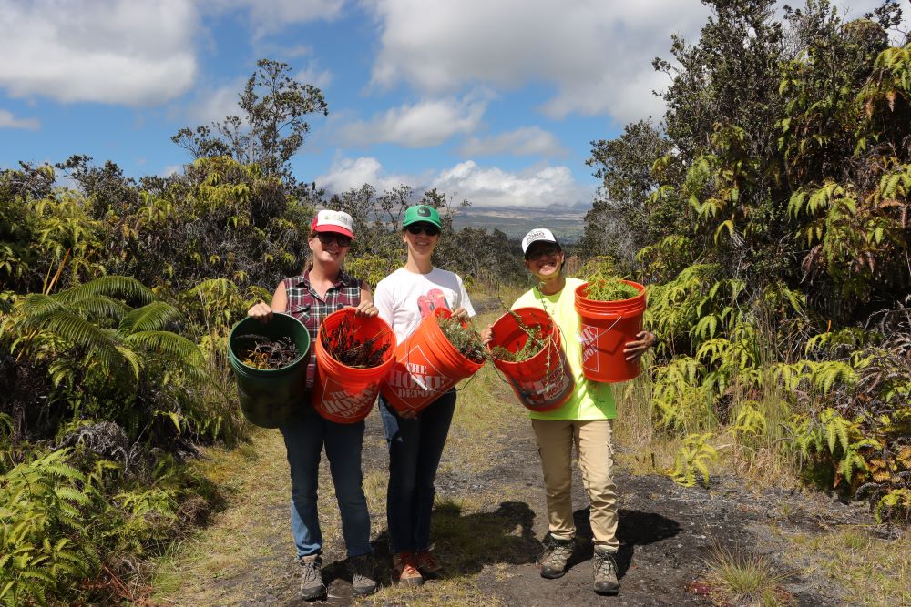 Three people holding orange buckets with foliage in a forest reserve.