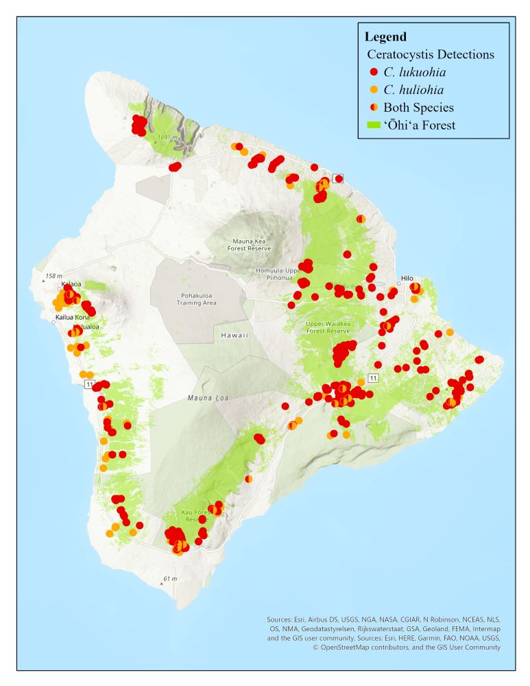 Hawaii Island map indicating where rapid ohia death has been detected.