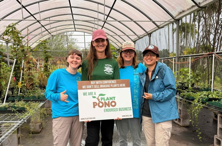 Group pic of BIISC staff (Rosemary Bearden, Molly Murphy, and Darcy Yogi) with nursery manager Lily Stein in the middle. The background is the new greenhouse and endorsed nursery.