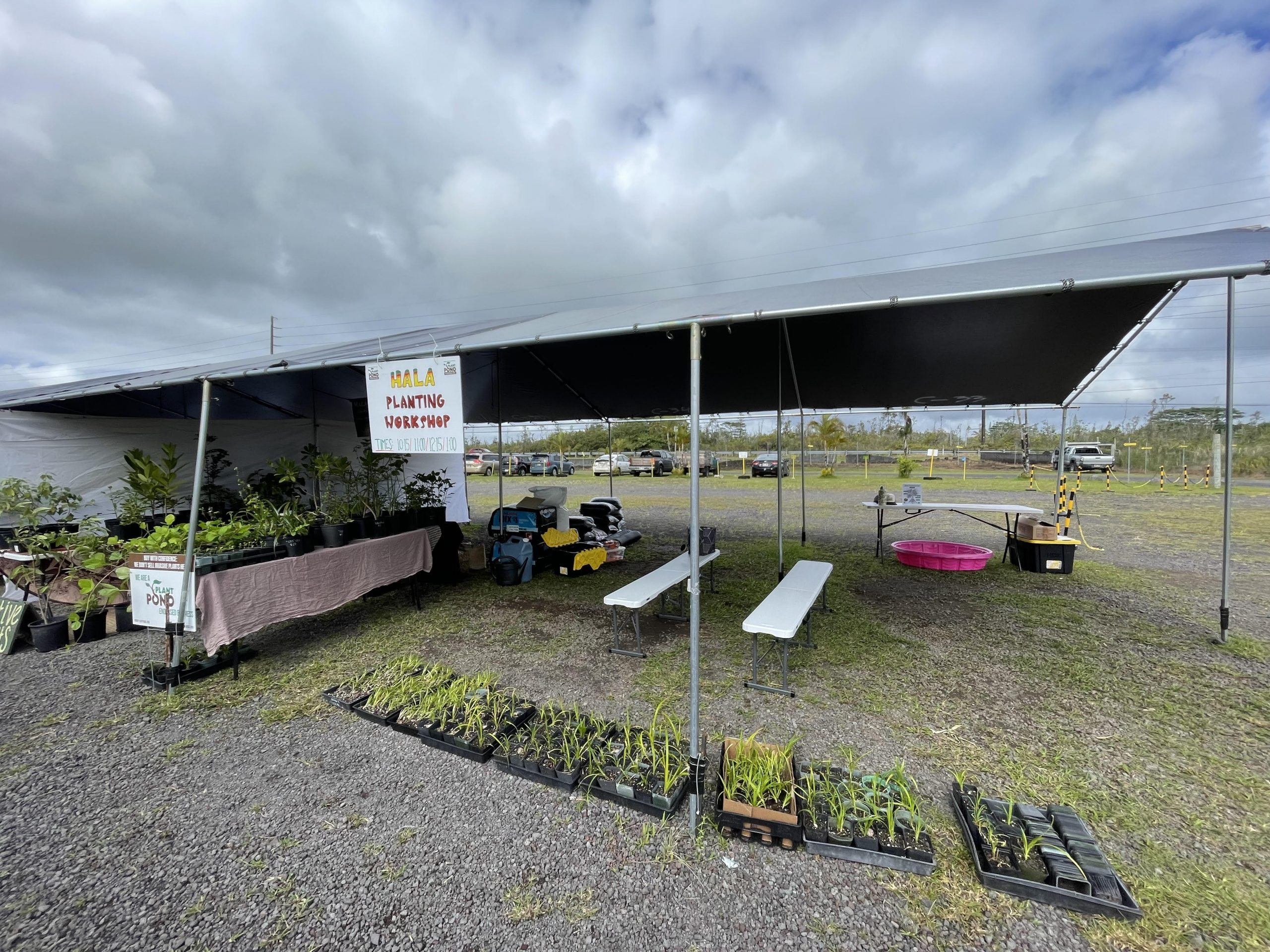 Our workshop set-up for the inaugural Hala Fest at Mākuʻu Farmerʻs Market where we gave out over 100 keiki.