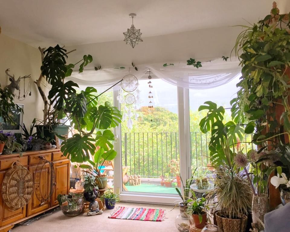 Indoor area decorated with plants