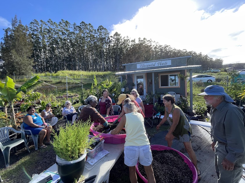 Mixing our signature well-draining soil at Elemental Plants. At this workshop, we provided pono cypress trees that make excellent windbreaks in Hāmākua.