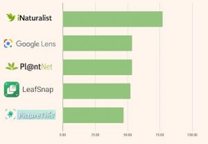 ranking Plant ID Apps