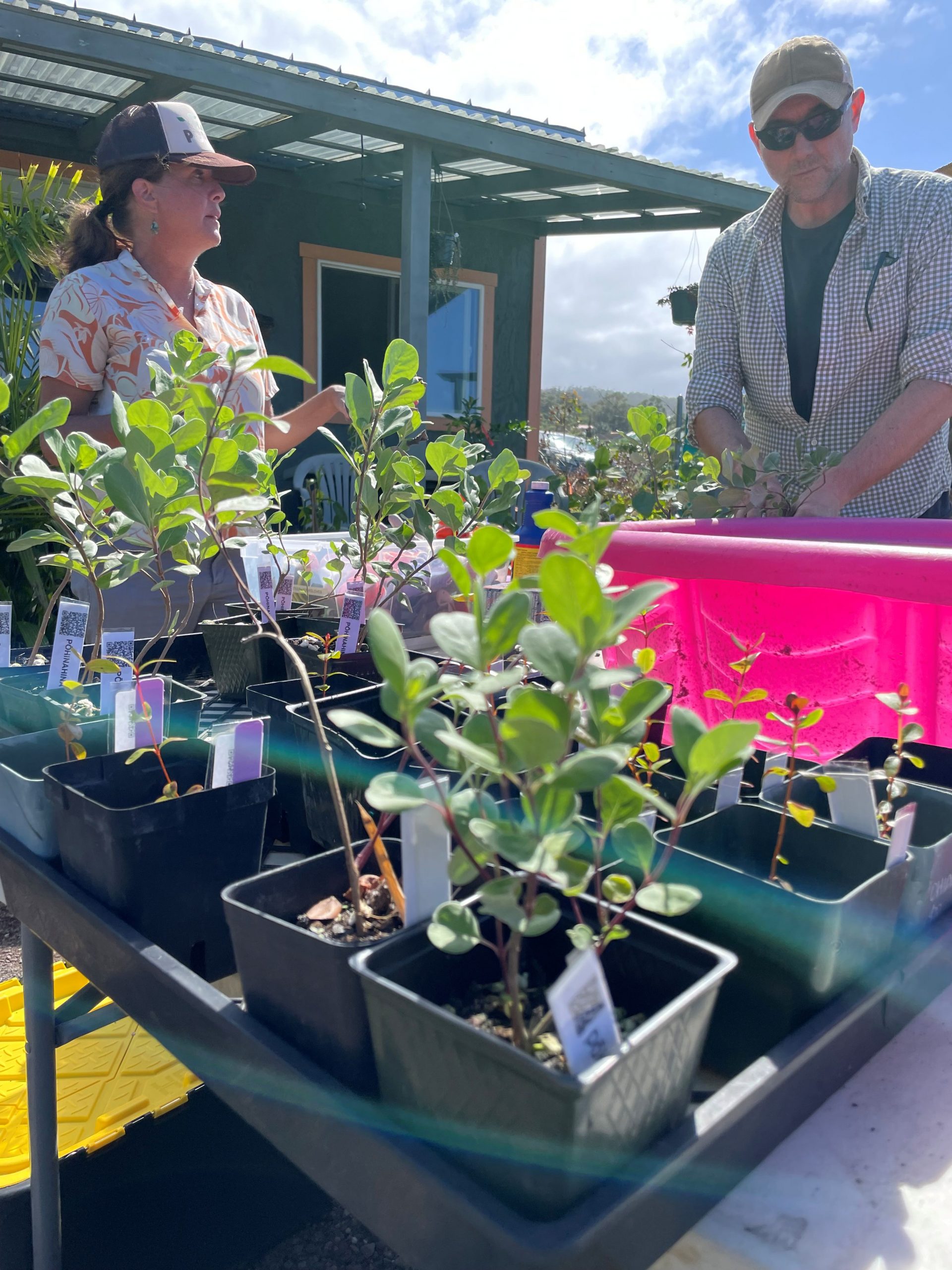 Workshops allow for our Plant Pono staff to answer participant questions about other relevant invasive species topics too.