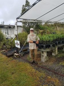 native tree nursery